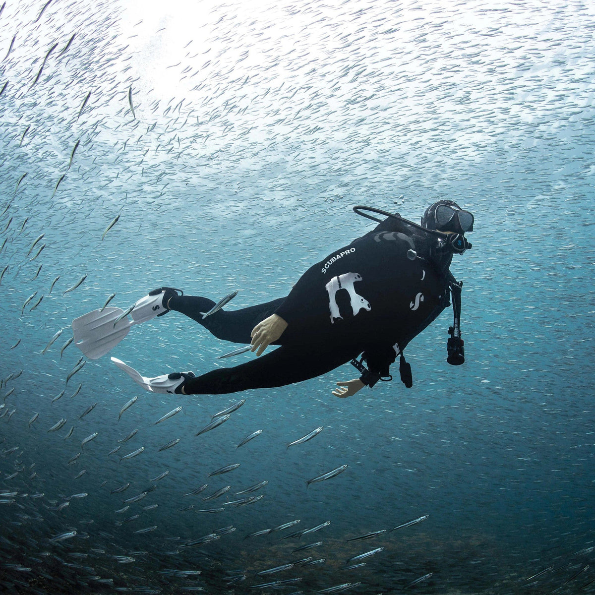 Scubapro Seawing Nova diver swimming with fish