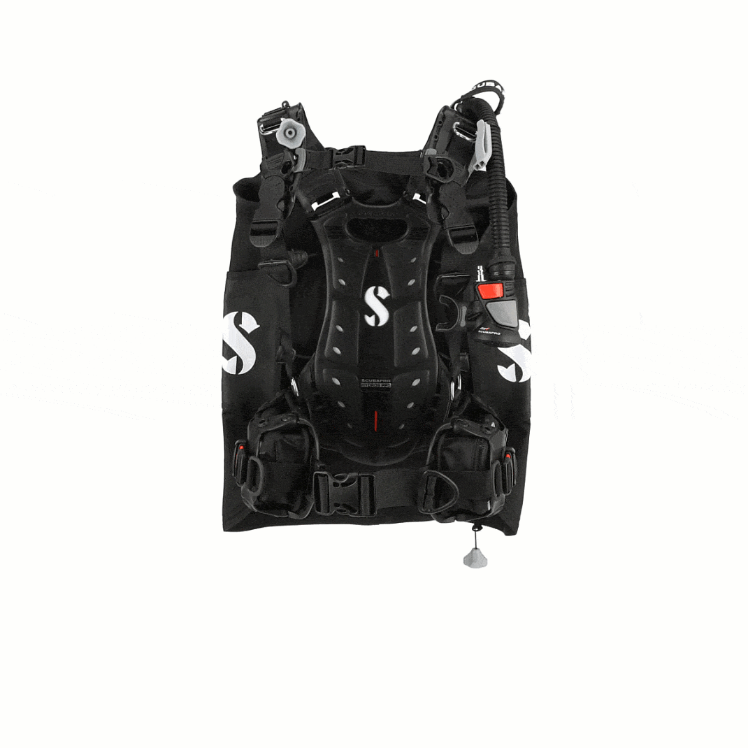 Image in .gif format (1090465_alt02.gif)
