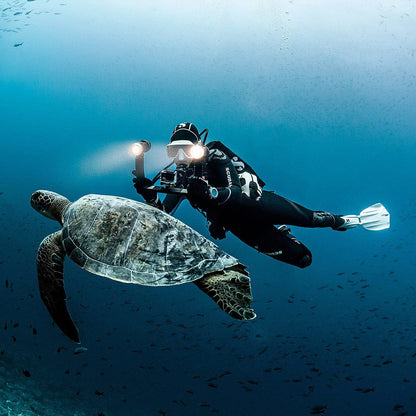 Scuba diver photographing sea turtle underwater