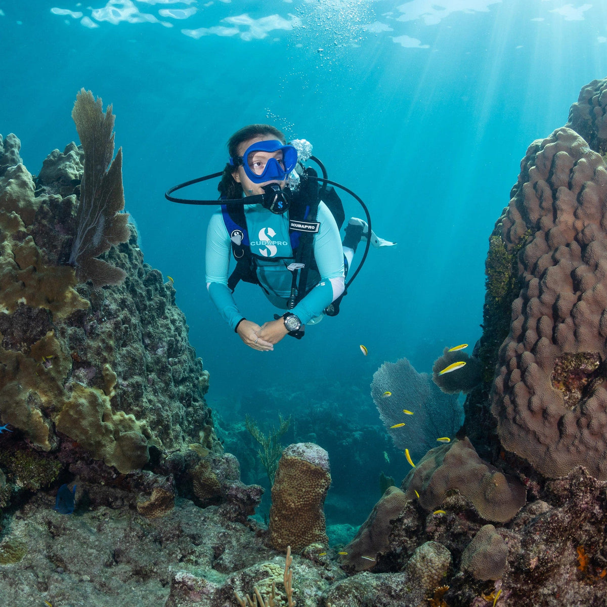 Diver exploring coral reef in Trinidad.