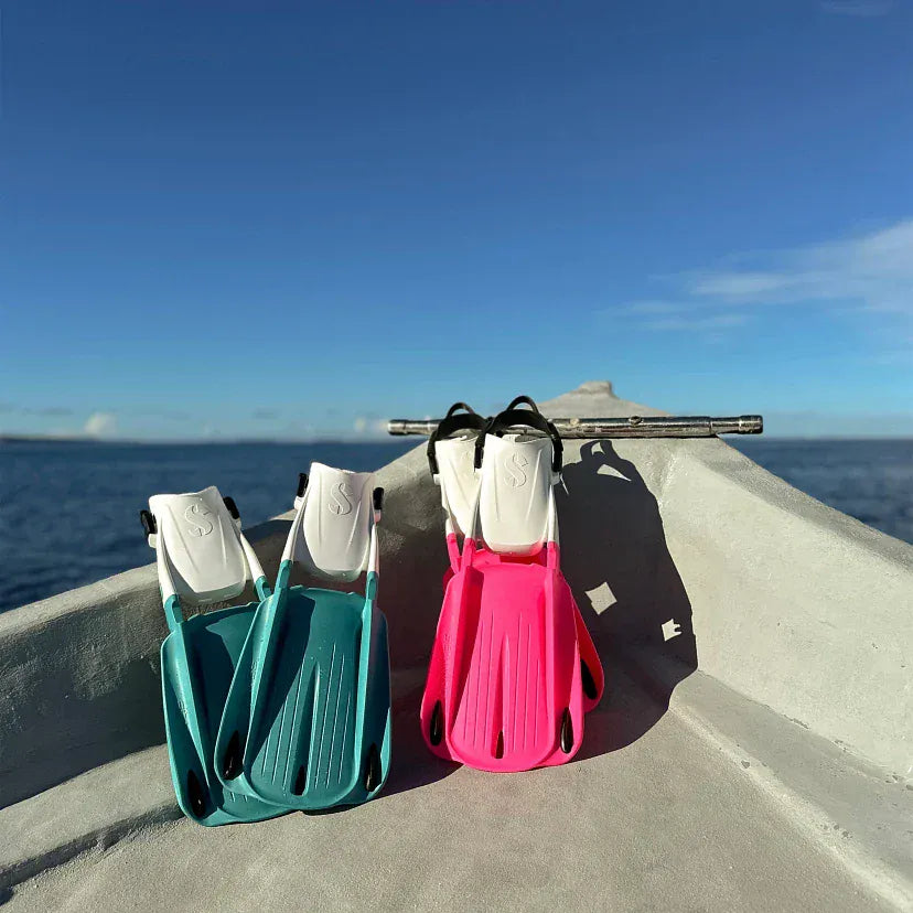 Blade fins on boat deck, SP_255XX00X_SWSN_Meg Czupajlo, 1895