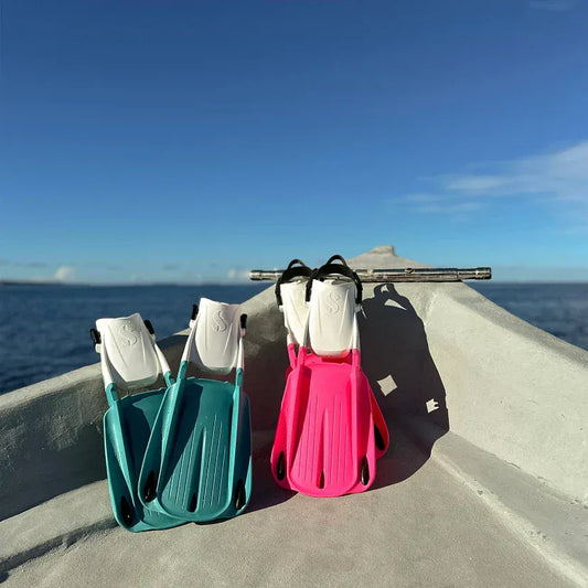 Blade fins on boat deck, SP_255XX00X_SWSN_Meg Czupajlo, 1895