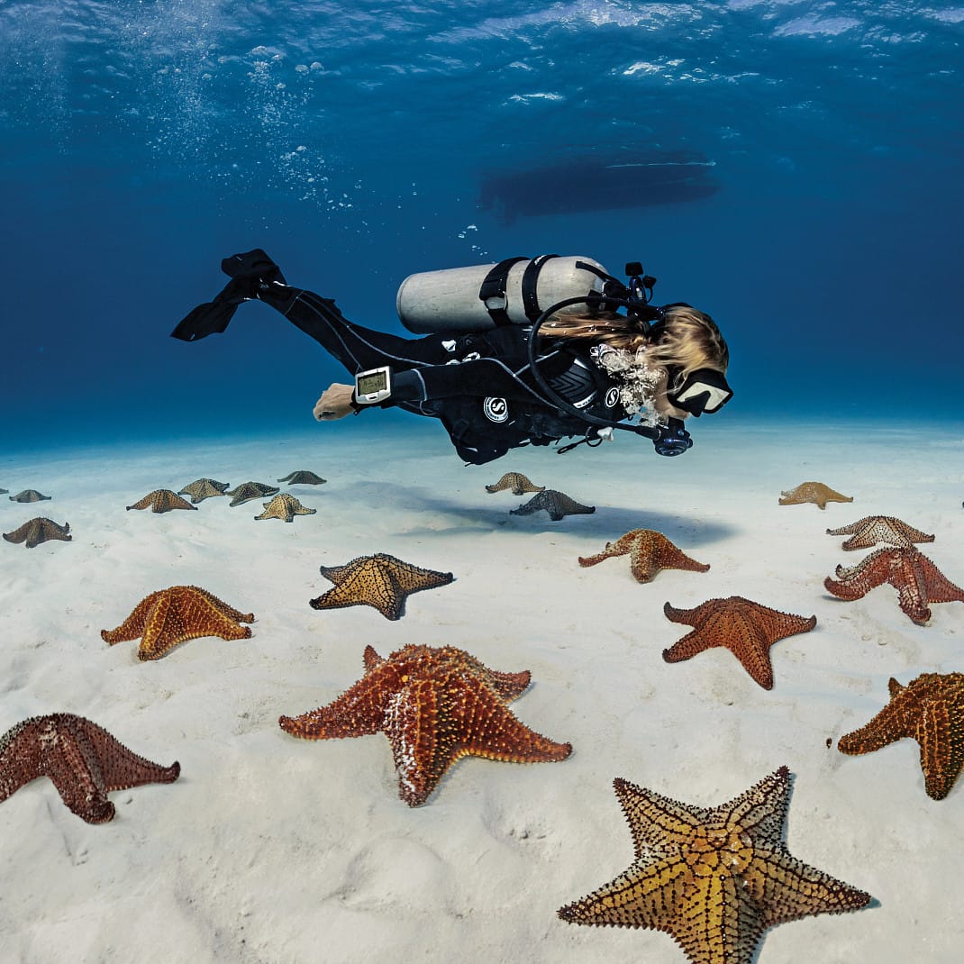 Diver and starfish, Seawing Nova, SP_25731X00_04