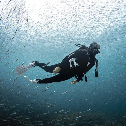 Scubapro Seawing Nova diver swimming with fish