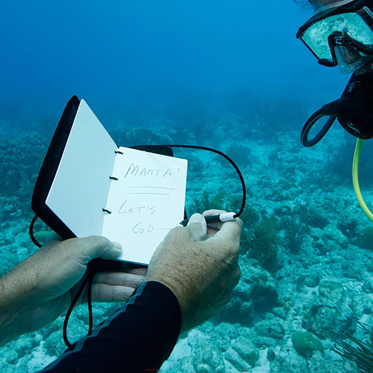 Scuba diver using a Wetnote to write Manta! Let's Go!