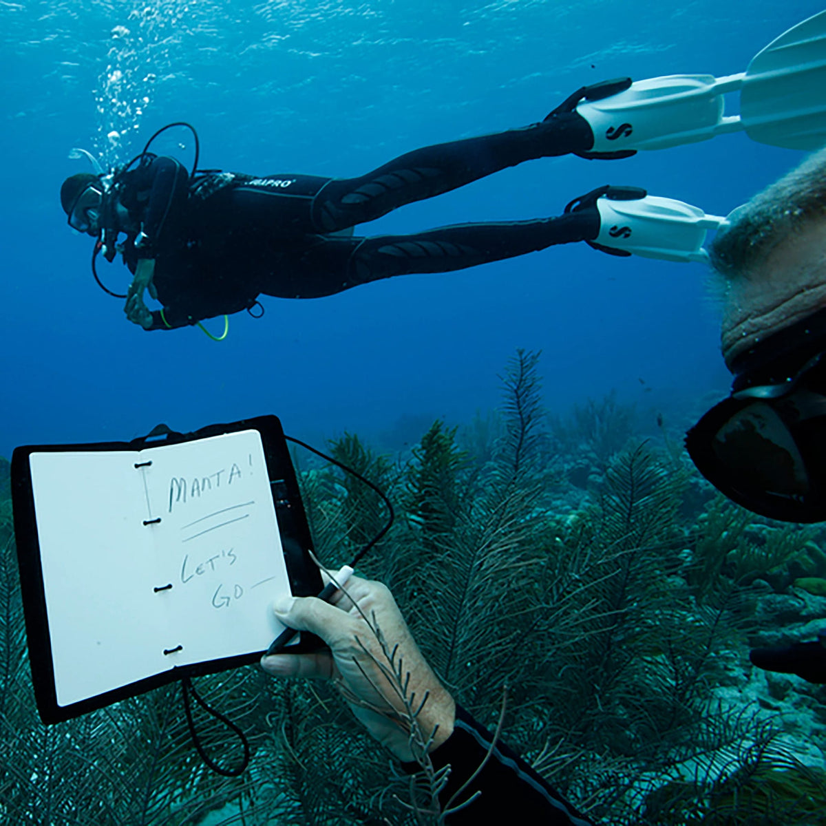 Scuba diver holding Wetnote, I Manta! Let's Go