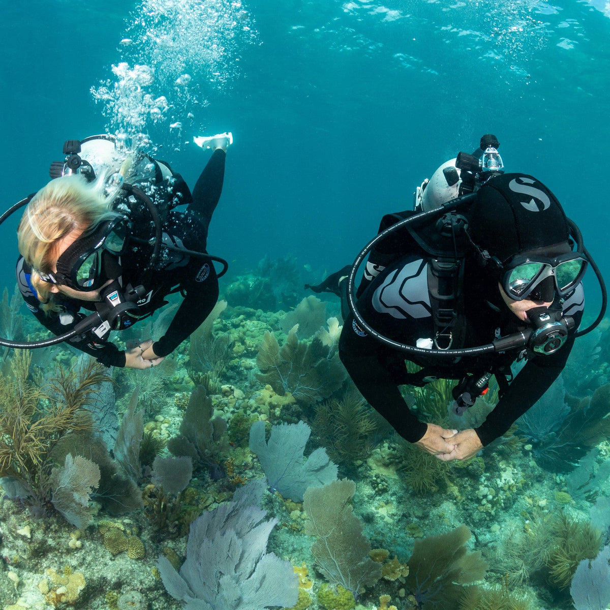 Two divers exploring underwater with Yulex Everflex wetsuits.