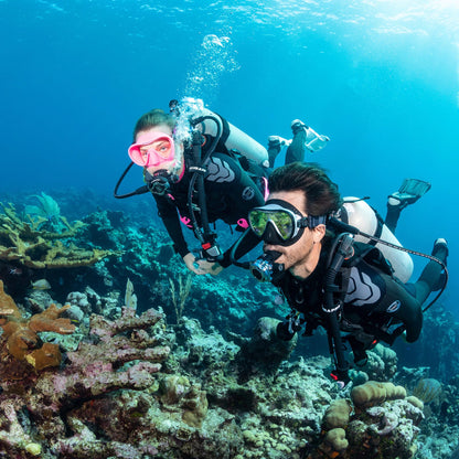 Everflex Yulex Steamer divers exploring coral reef