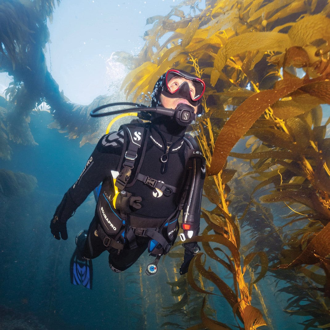 Scuba diver in Catalina kelp forest, January 2022.