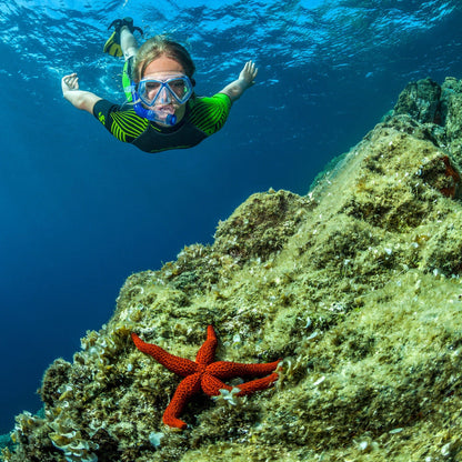 Snorkeler with starfish, SP_REBEL_Shorty 2016.