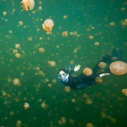 Diver swims with jellyfish in Jellyfish Lake, Palau